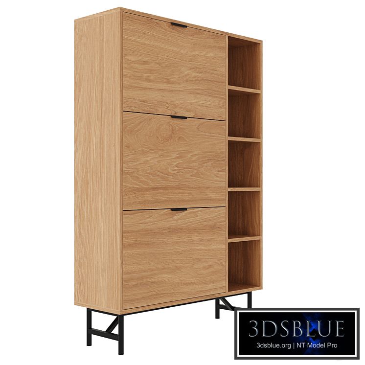 Shoe cabinet with three doors, Jarta LA REDOUTE