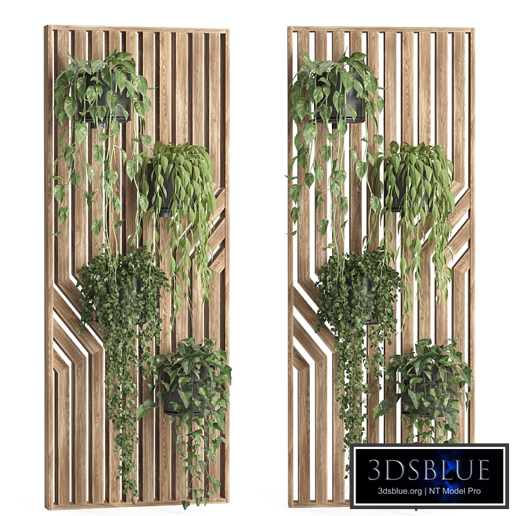 hanging plant-wooden wall
