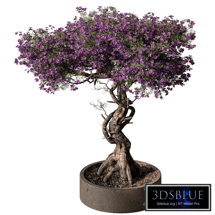 indoor Plant 565- Flower Bonsai