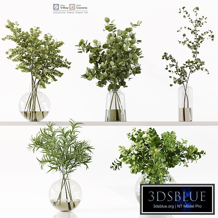 Collection Indoor Plants 049