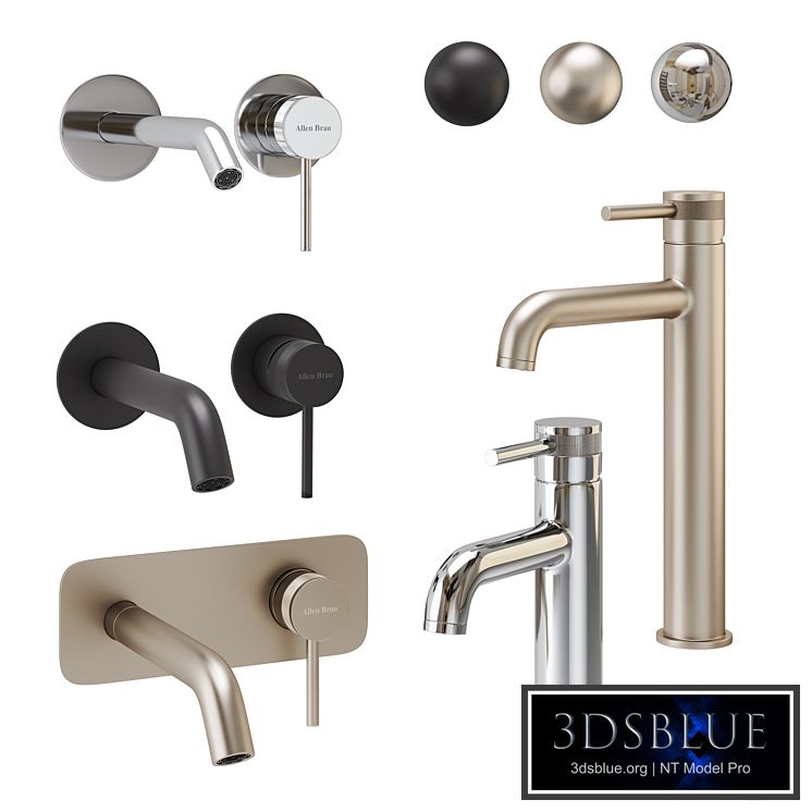 Allen Brau Priority Basin Faucet Set