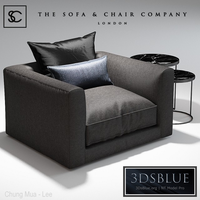 Elis Armchair_The sofa and chair company_Coppice table