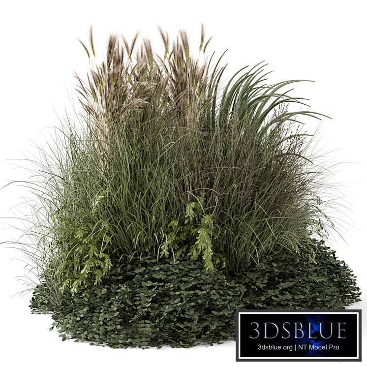 Outdoor Plants Bush-Bush Set 1644