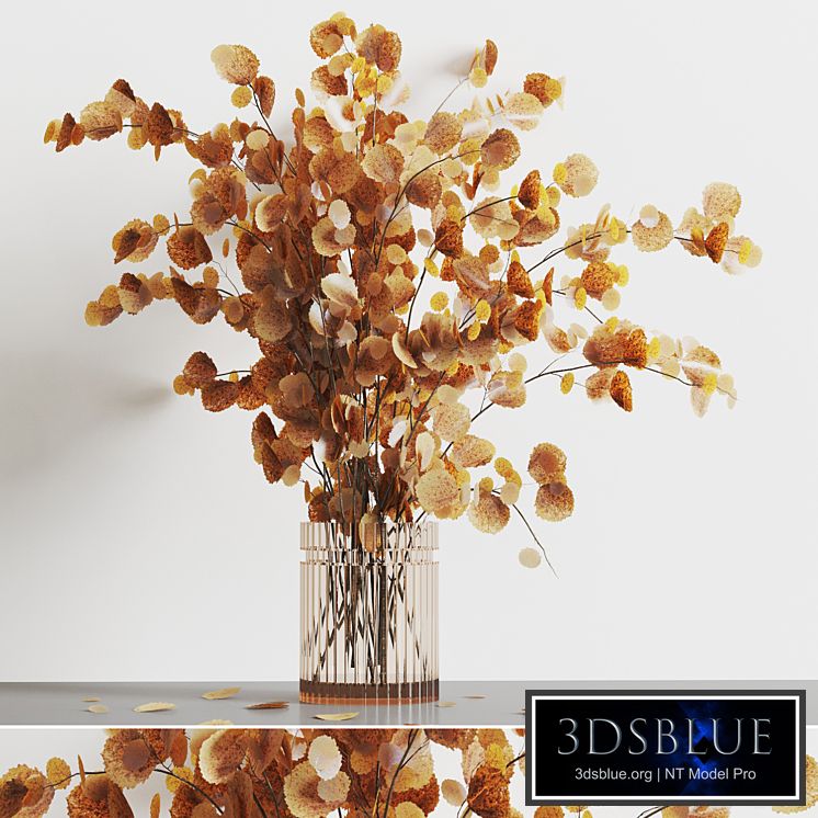 decorative plants003