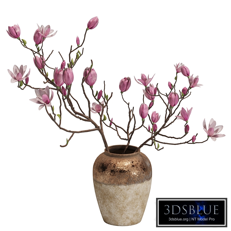 Magnolia Shrubs In Clay Vase 04