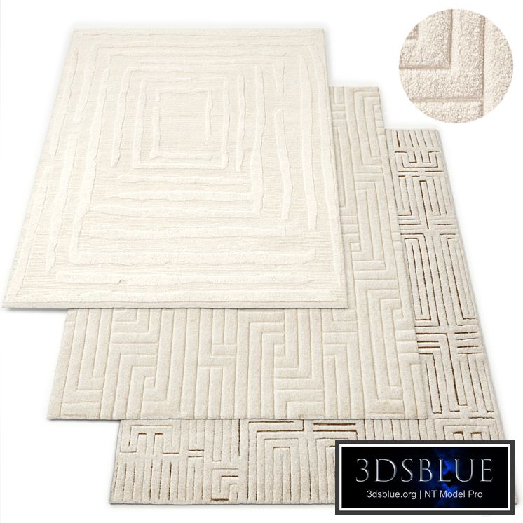 Rug Restoration Hardware Set 2