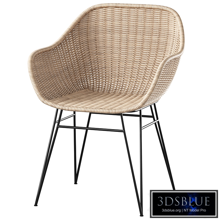 Chart Rattan Chair