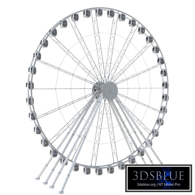 Ferris wheel 55 meters