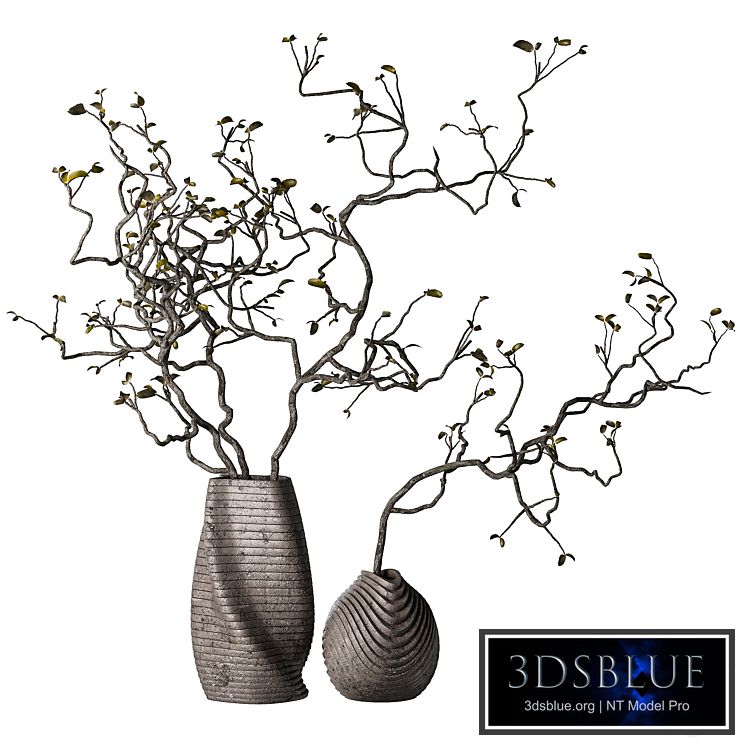 Dry branches with leaves in decorative vases