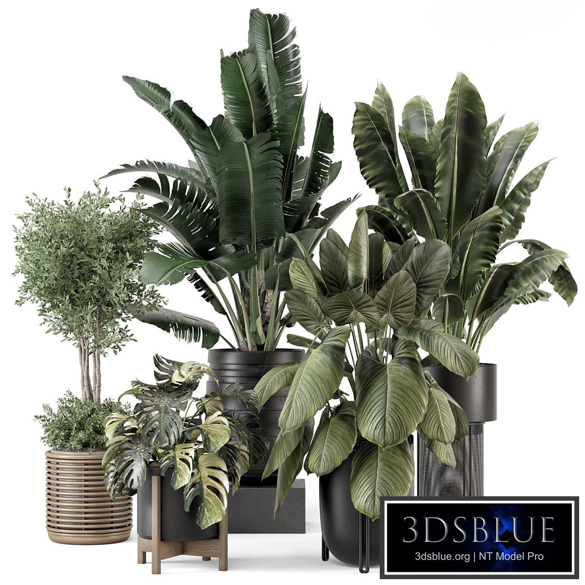 Indoor Plants in Ferm Living Bau Pot Large - Set 1665