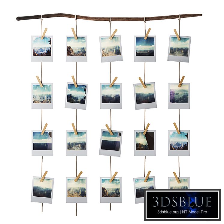 Moodboard polaroid photo