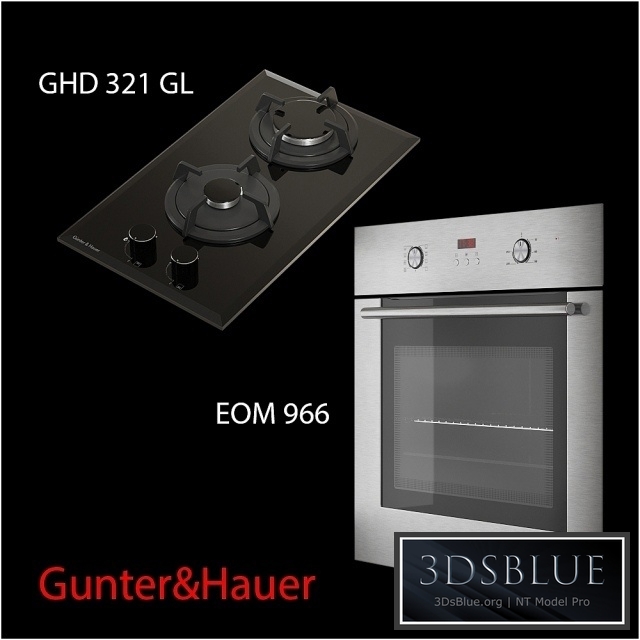 Gunter &amp; Hauer EOM + GHD 966 321 GL