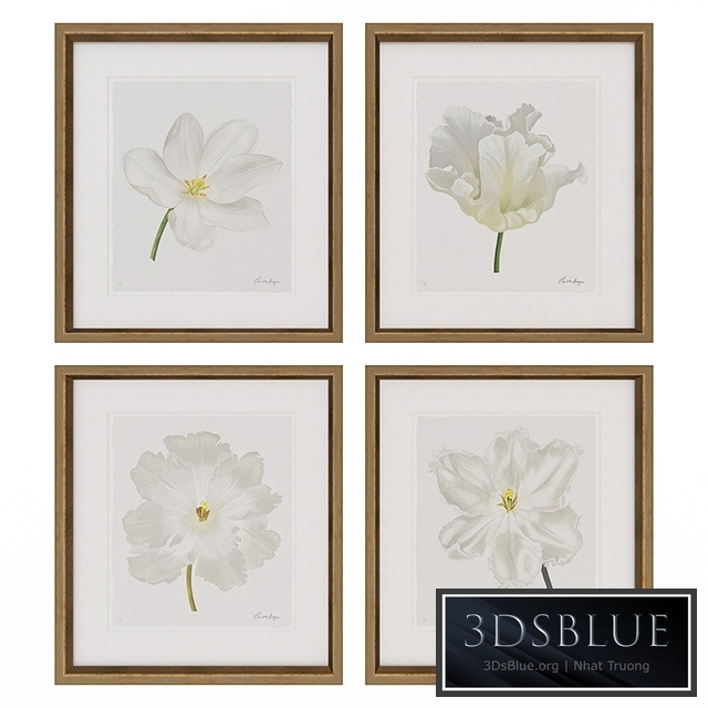 Charlotte Morgan White Watercolour Tulips