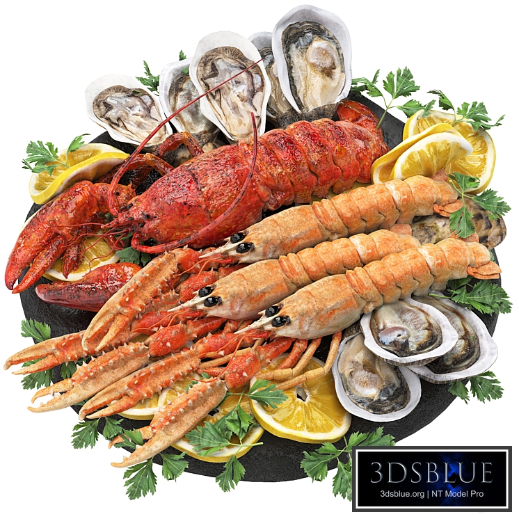 seafood platter of langoustine lobster and oyster