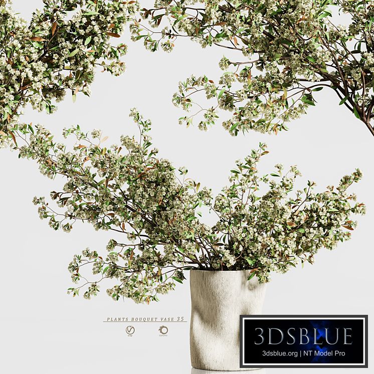 plants bouquet vase 35