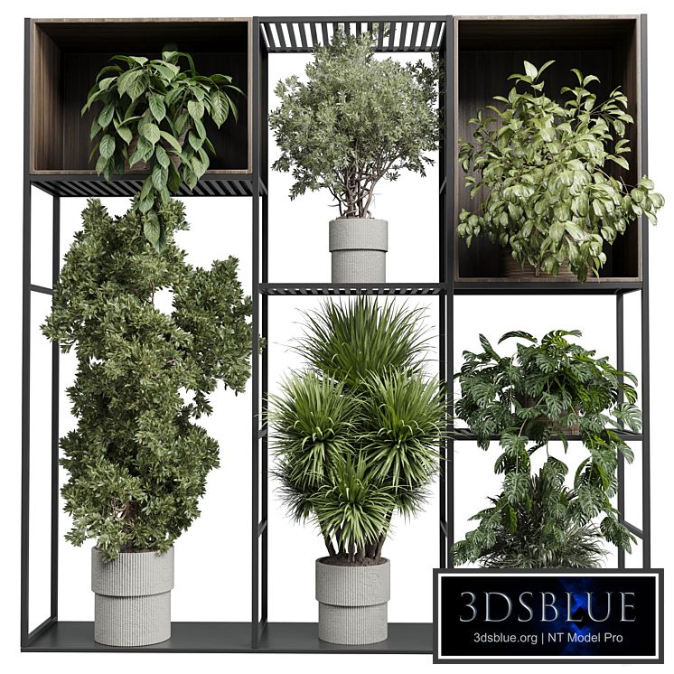 Standing metal shelf with a set of plants in wooden and metal boxes 419