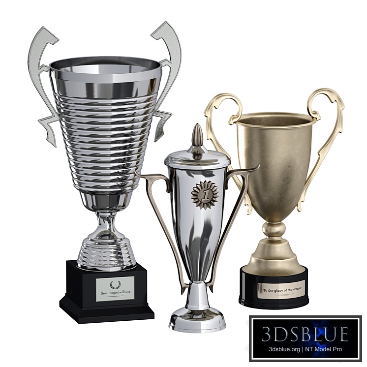 Sports award cup trophy. Set of three cups.