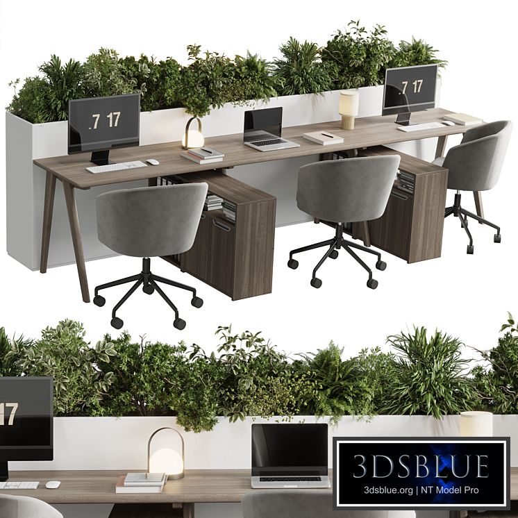 Workplace - Home office set - office furniture - Employee desk 26