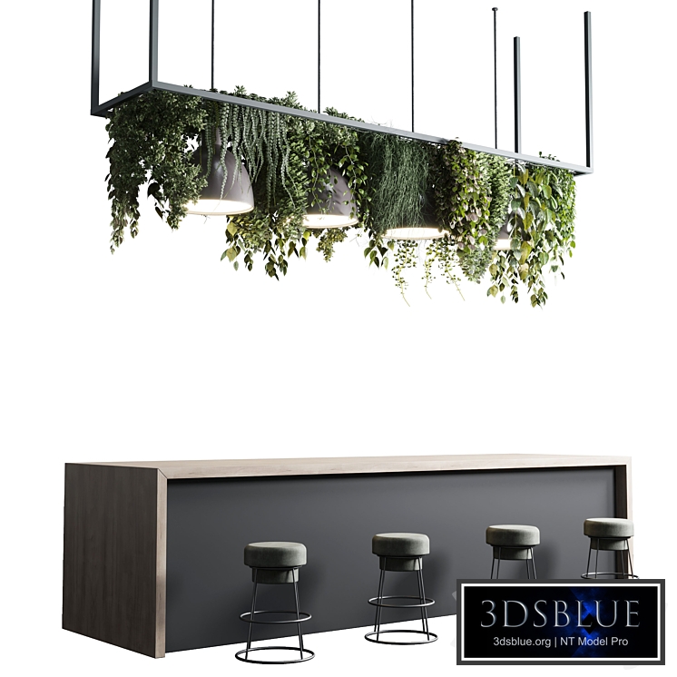 Reception Desk for Restaurant and Caffe set 04