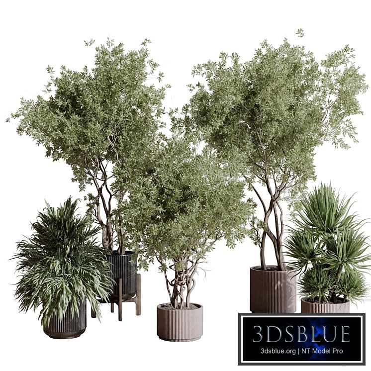 indoor plant set 408 plant tree palm bush concrete dirt vase vray