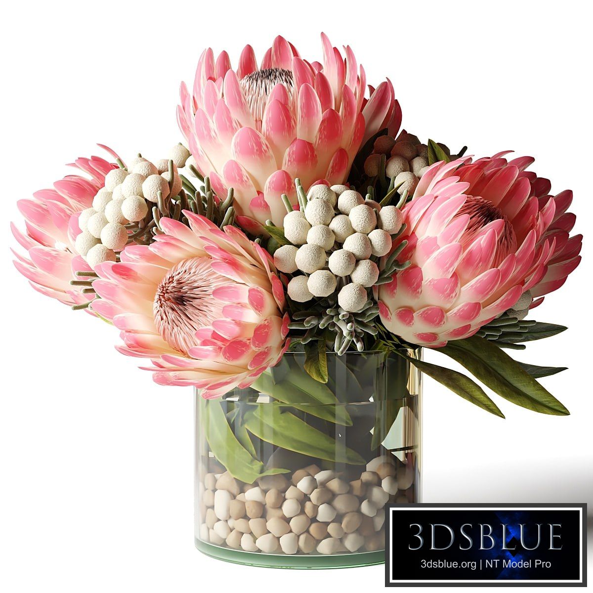 Bouquet of pink proteas with balls