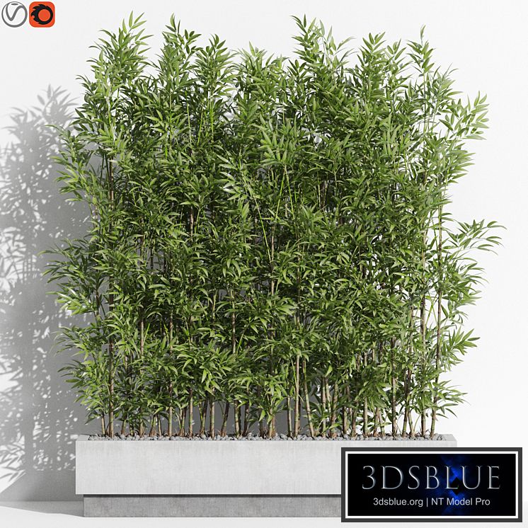 Plants collection 999