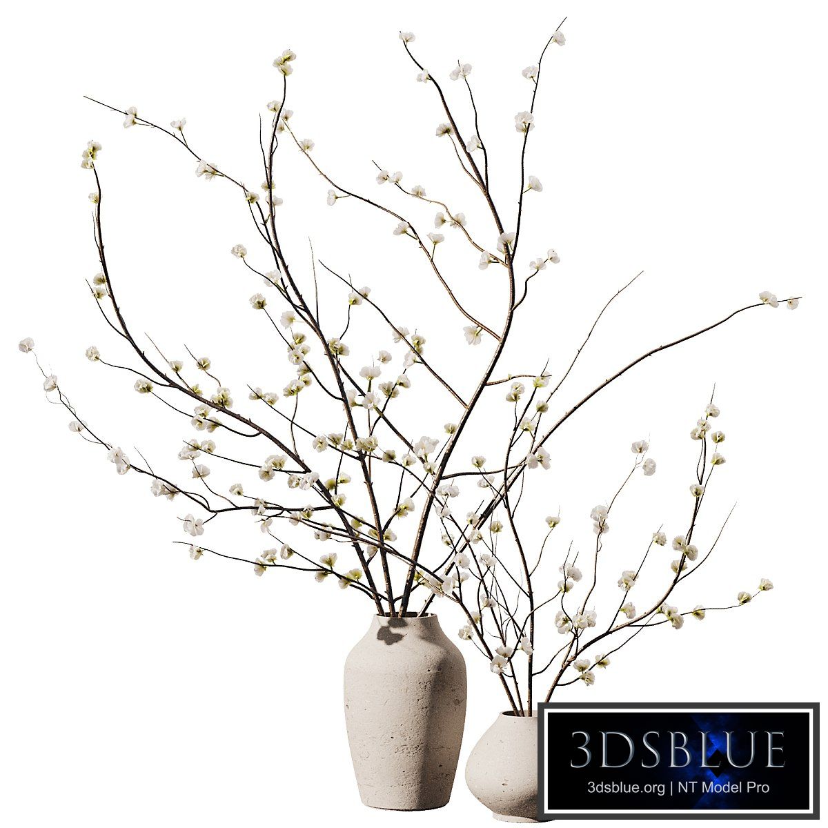 Dry Flower Branche Bouquet2