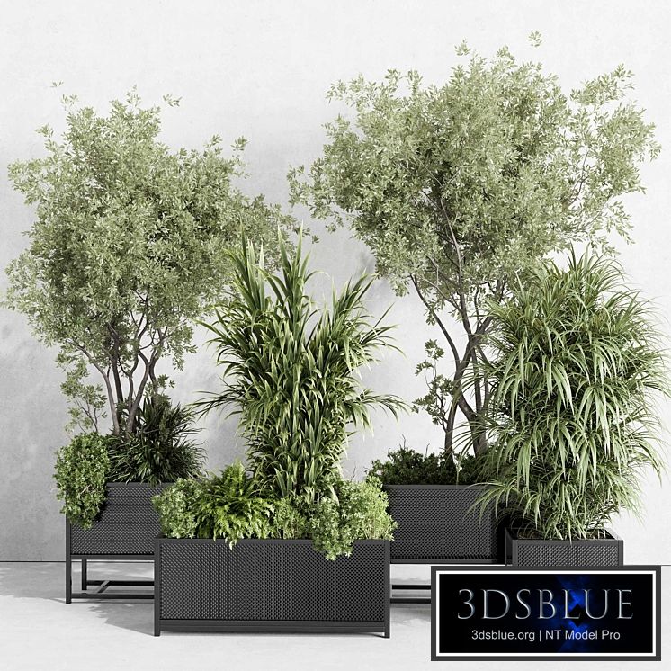 metal box plants on stand - set indoor plant 425