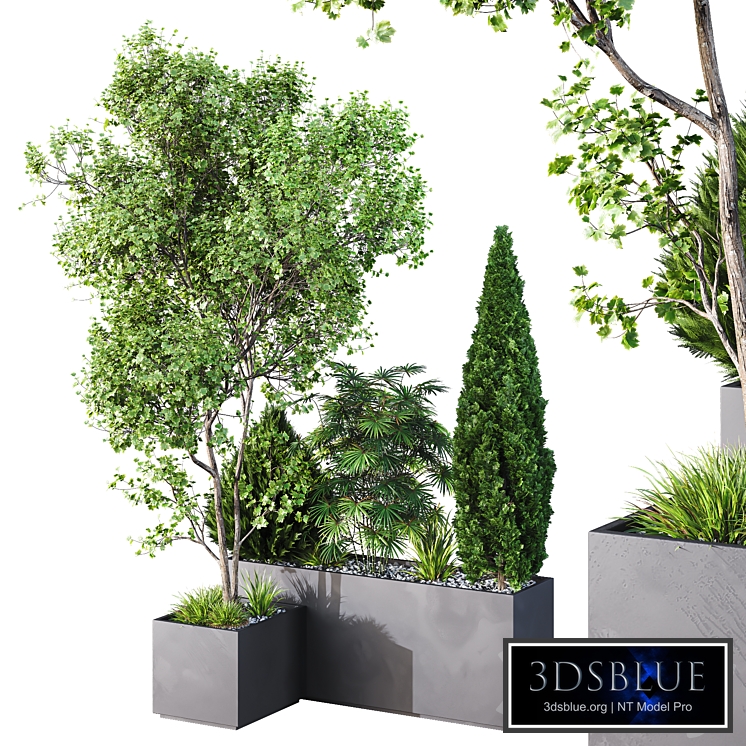 HQ Tree and bush garden box outdoor VOL 03