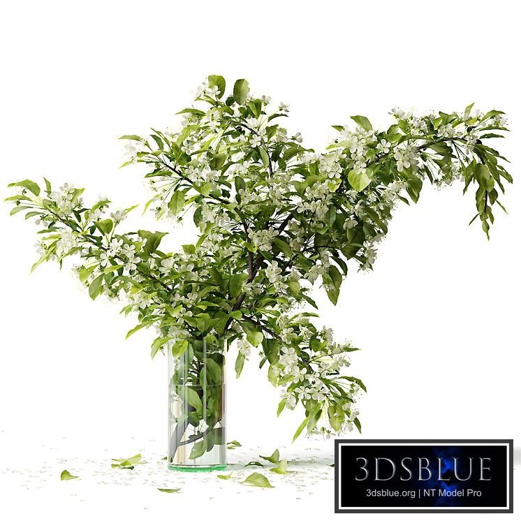 Bouquet blooming branch, spring flowers in a glass vase