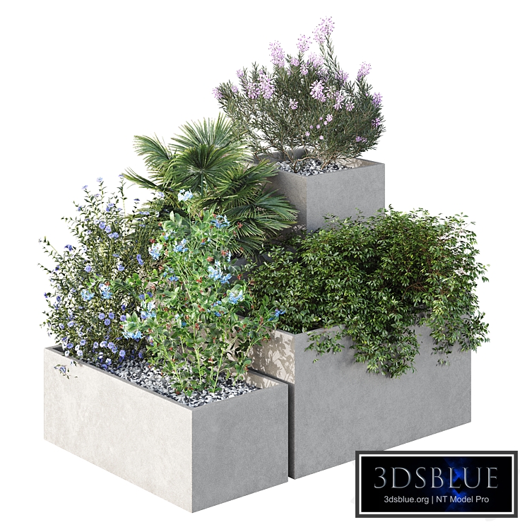 HQ Tree and bush garden box outdoor VOL 07