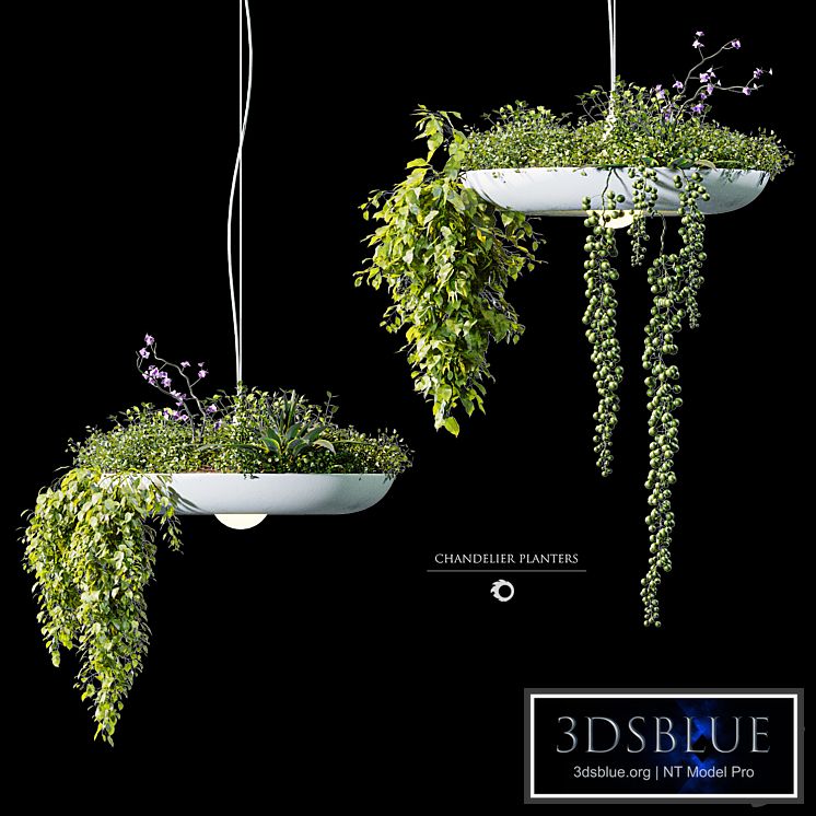 Chandelier plant pot