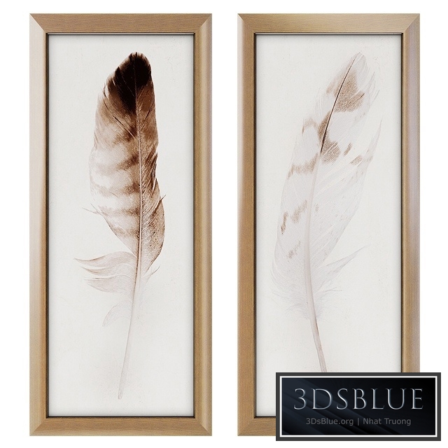 Feather Panel Framed Art Print