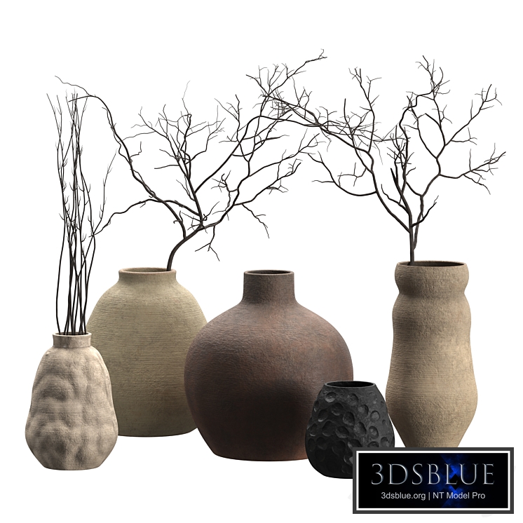 Artisan Rustic Vases with branches