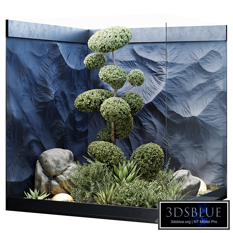 HQ Plants Indoor Set Box Glass