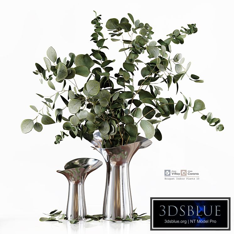 Bouquet Indoor Plants 10