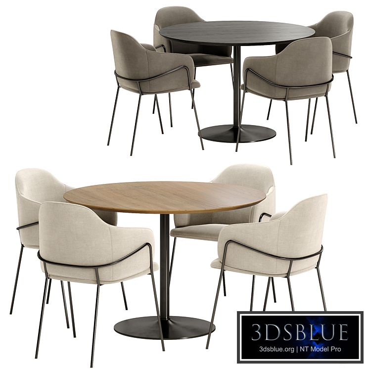 carver dining chair with Anderson table