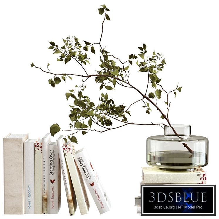 Decorative set with books