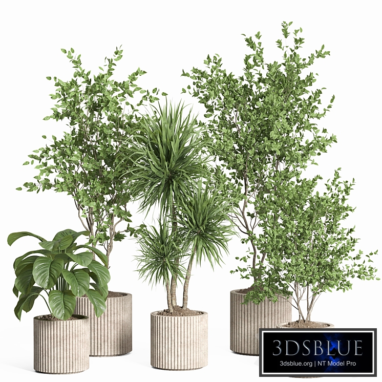 indoor plant set 59-Concrete pot