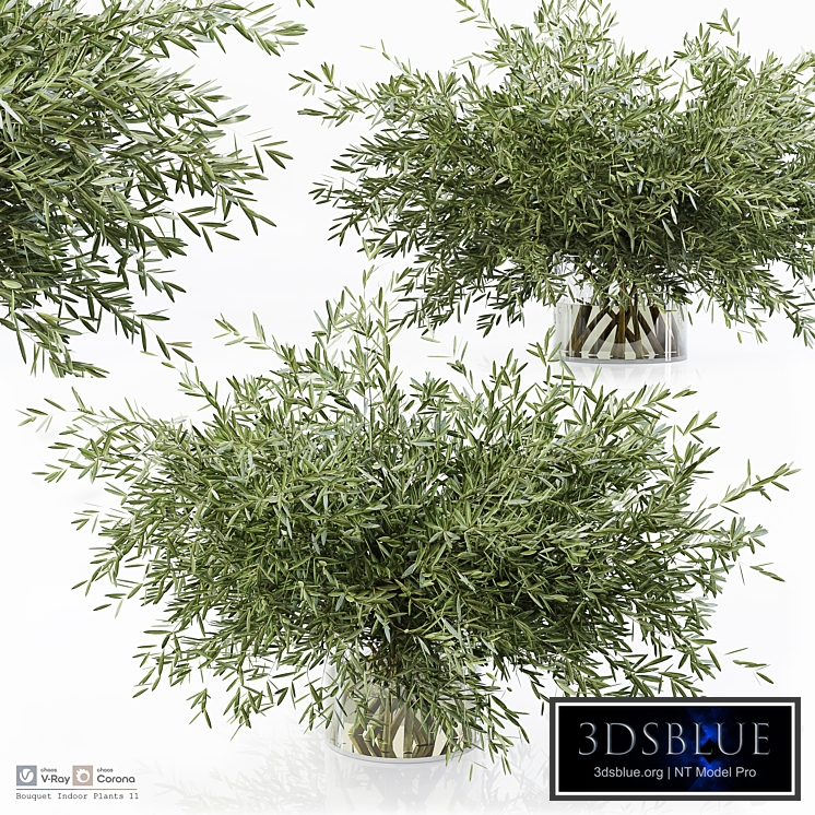 Bouquet Indoor Plants 11