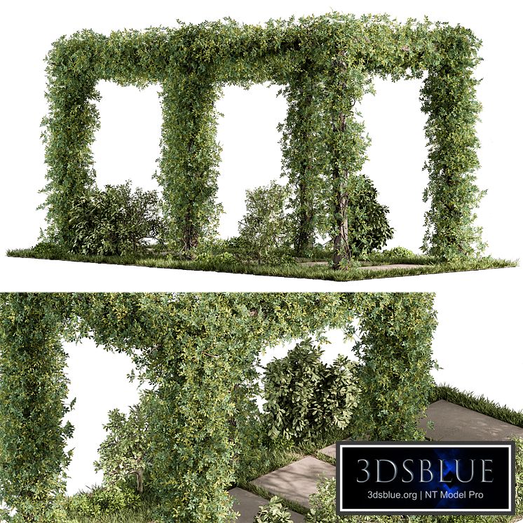 Pergola and Plant - Set 89