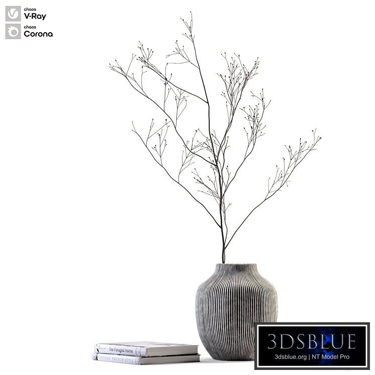 Decorative set 5 Vase and books