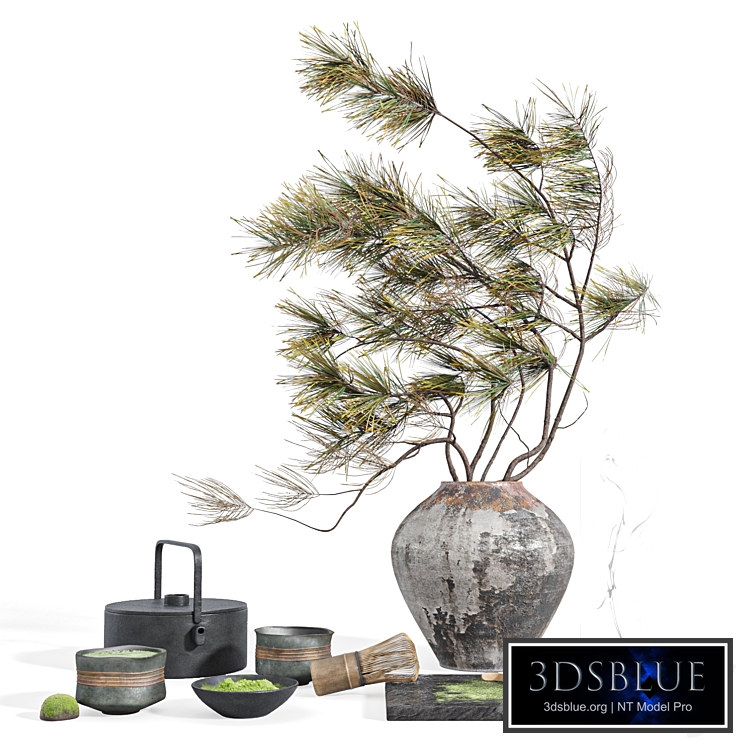 Decorative set with a bouquet of pine branches