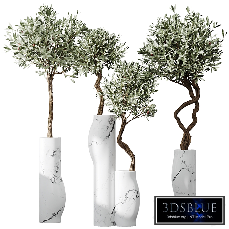 HQ Plants Mission Olive Tree Indoor Vase Set003