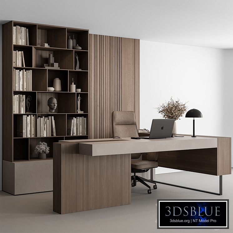 Boss Desk - Office Furniture 524