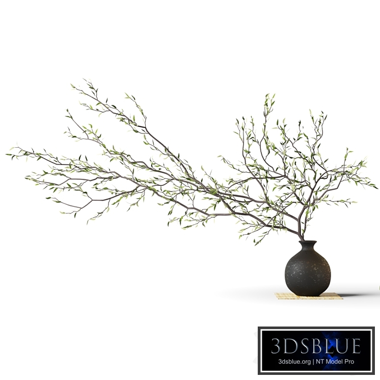 Branch in a vase on a rug