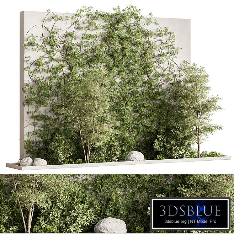 Plant Box Garden - Outdoor Plants 575