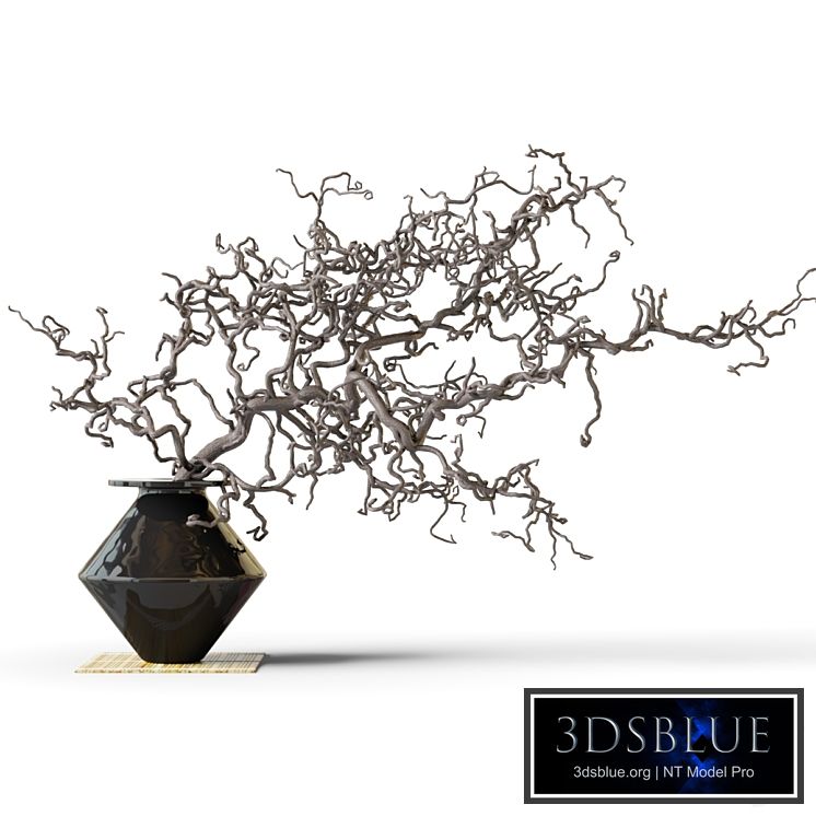Dry branch in a black vase