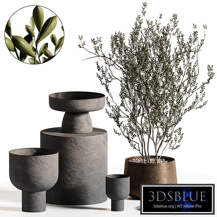 Plants Bouquet Vase 2