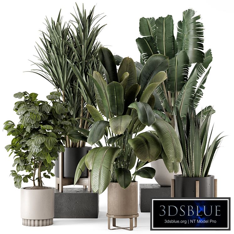 Indoor Plants in Ferm Living Bau Pot Large - Set 1782